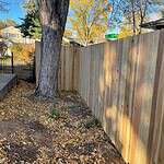 Fence Replacement Near Me