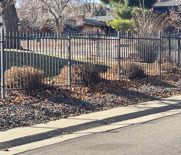 Ornamental steel fence installed in Denver residential area meeting local building codes