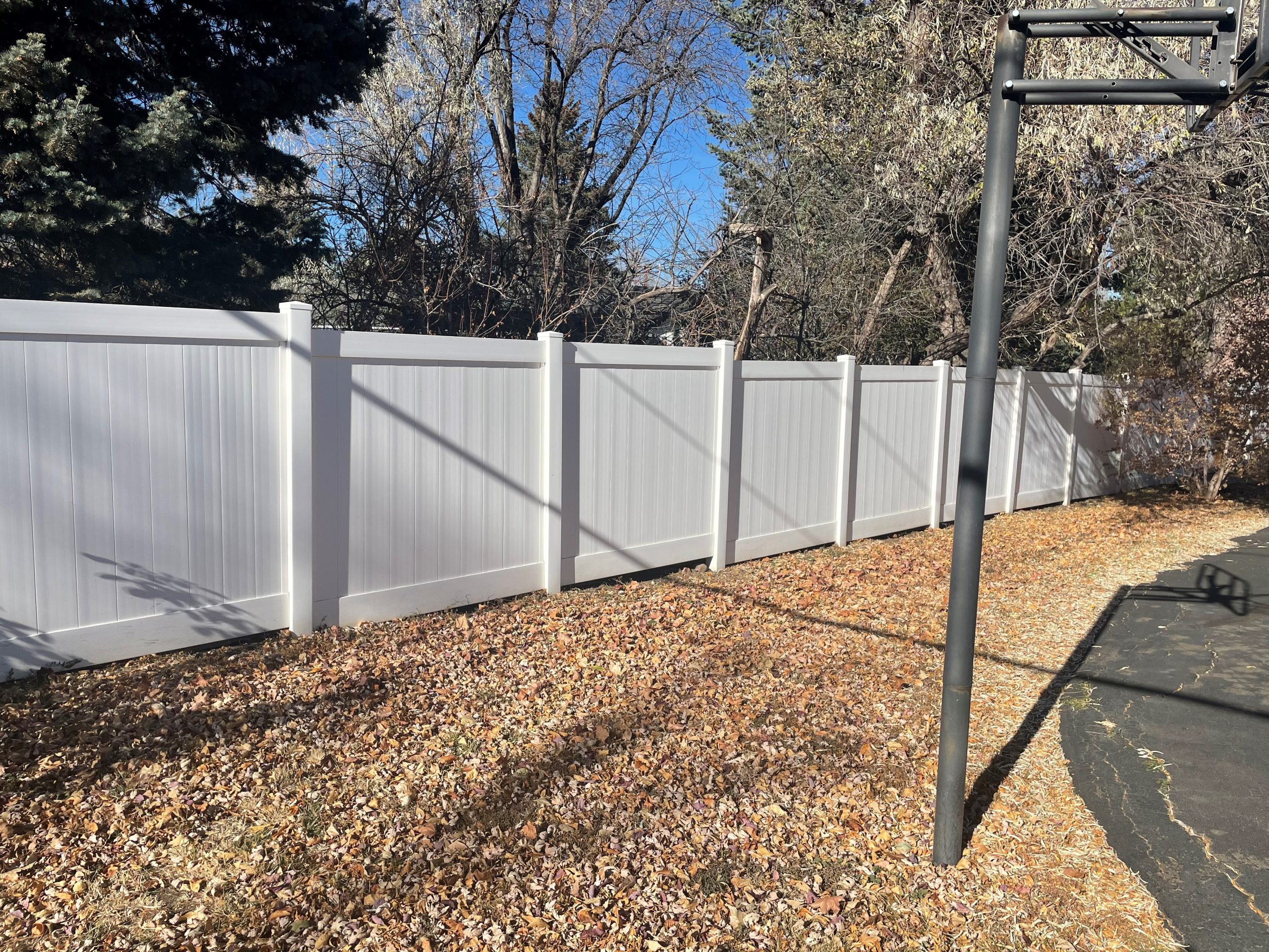White vinyl privacy fence installed in a Lakewood Colorado backyard